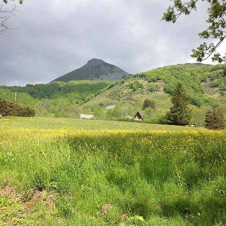 Chalet Avec Vue Panoramique Sur Le Plomb Du Cantal Βίλα Saint-Jacques-des-Blats Εξωτερικό φωτογραφία