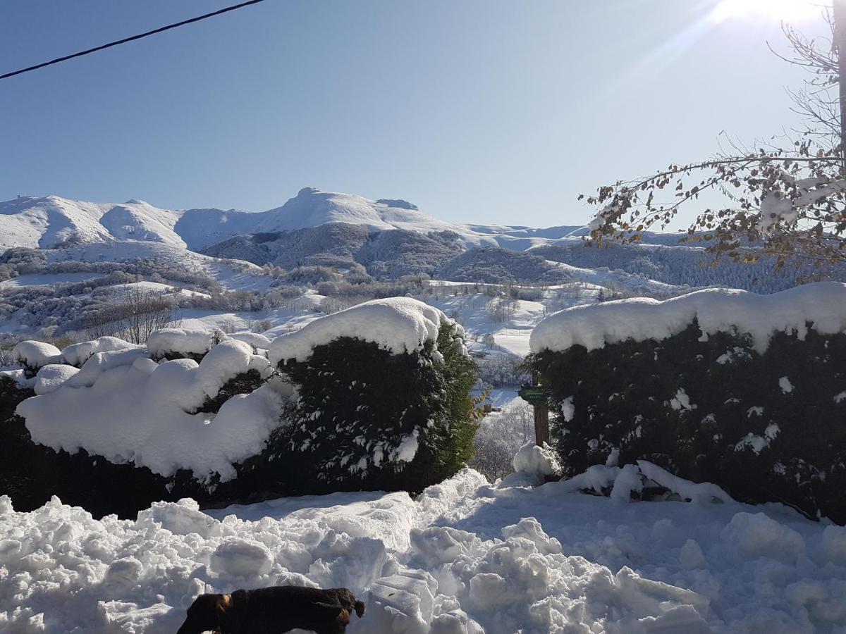 Chalet Avec Vue Panoramique Sur Le Plomb Du Cantal Βίλα Saint-Jacques-des-Blats Εξωτερικό φωτογραφία