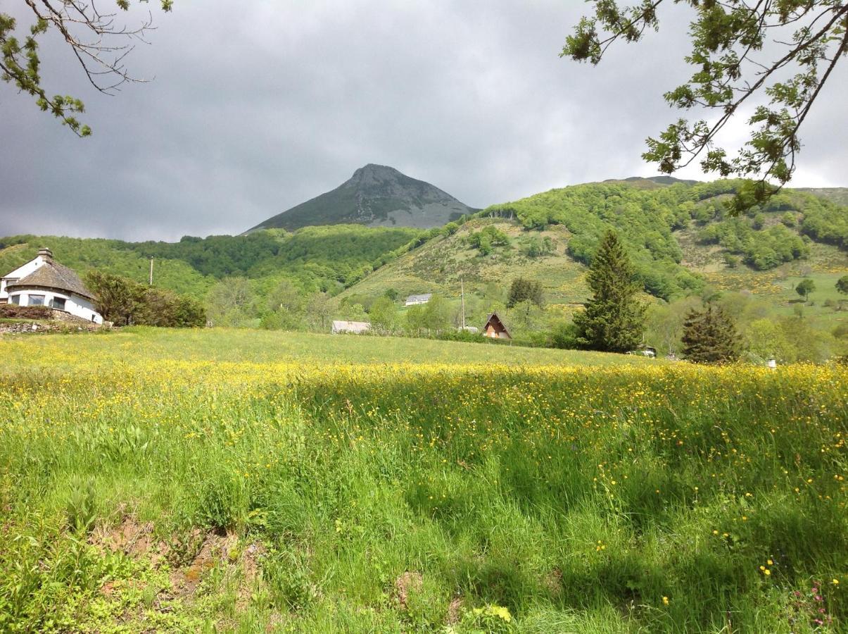 Chalet Avec Vue Panoramique Sur Le Plomb Du Cantal Βίλα Saint-Jacques-des-Blats Εξωτερικό φωτογραφία