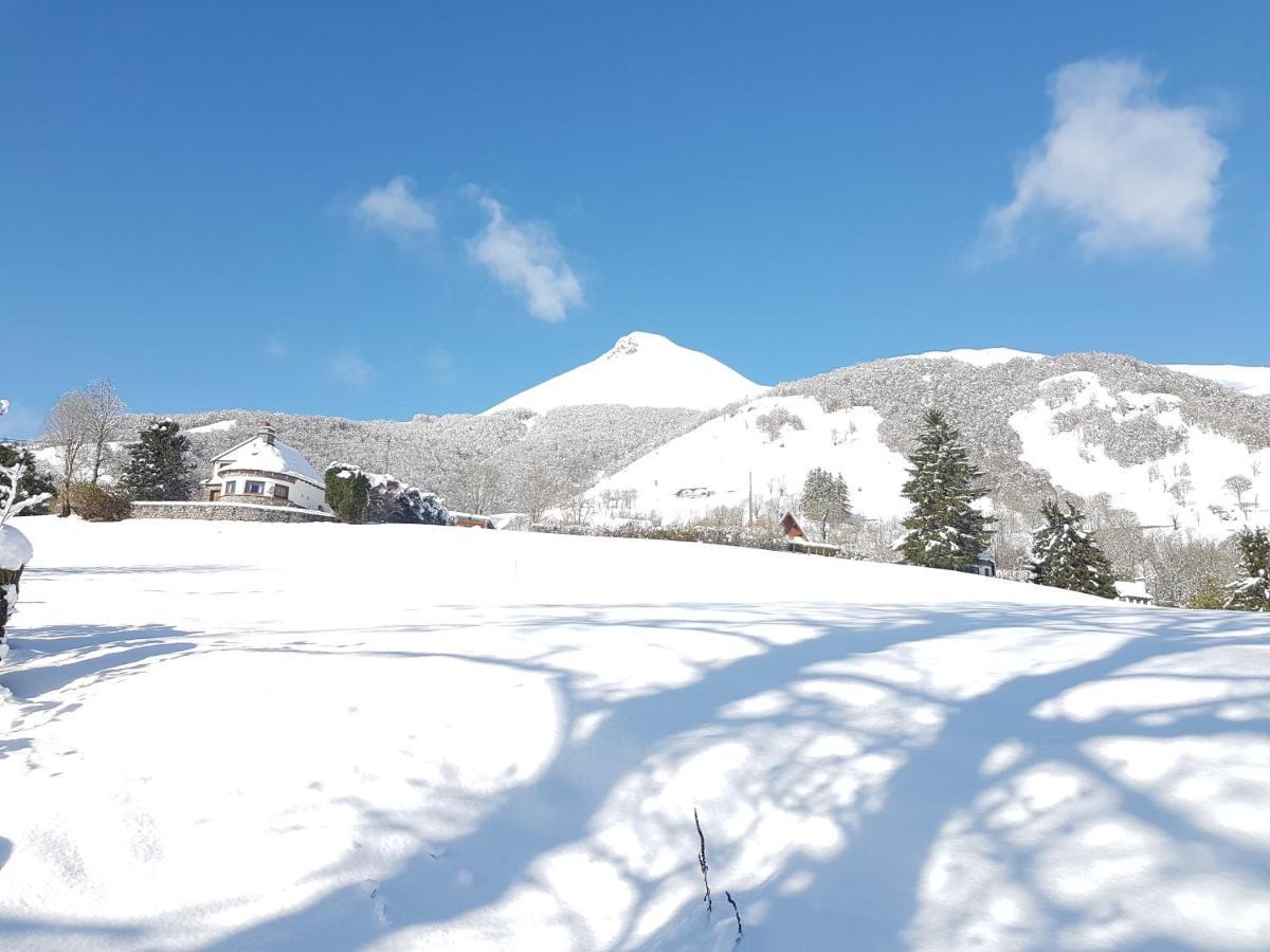 Chalet Avec Vue Panoramique Sur Le Plomb Du Cantal Βίλα Saint-Jacques-des-Blats Εξωτερικό φωτογραφία