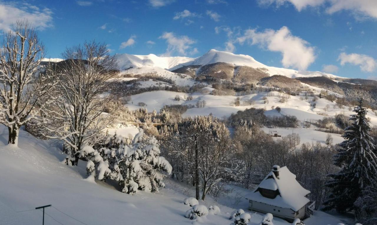 Chalet Avec Vue Panoramique Sur Le Plomb Du Cantal Βίλα Saint-Jacques-des-Blats Εξωτερικό φωτογραφία