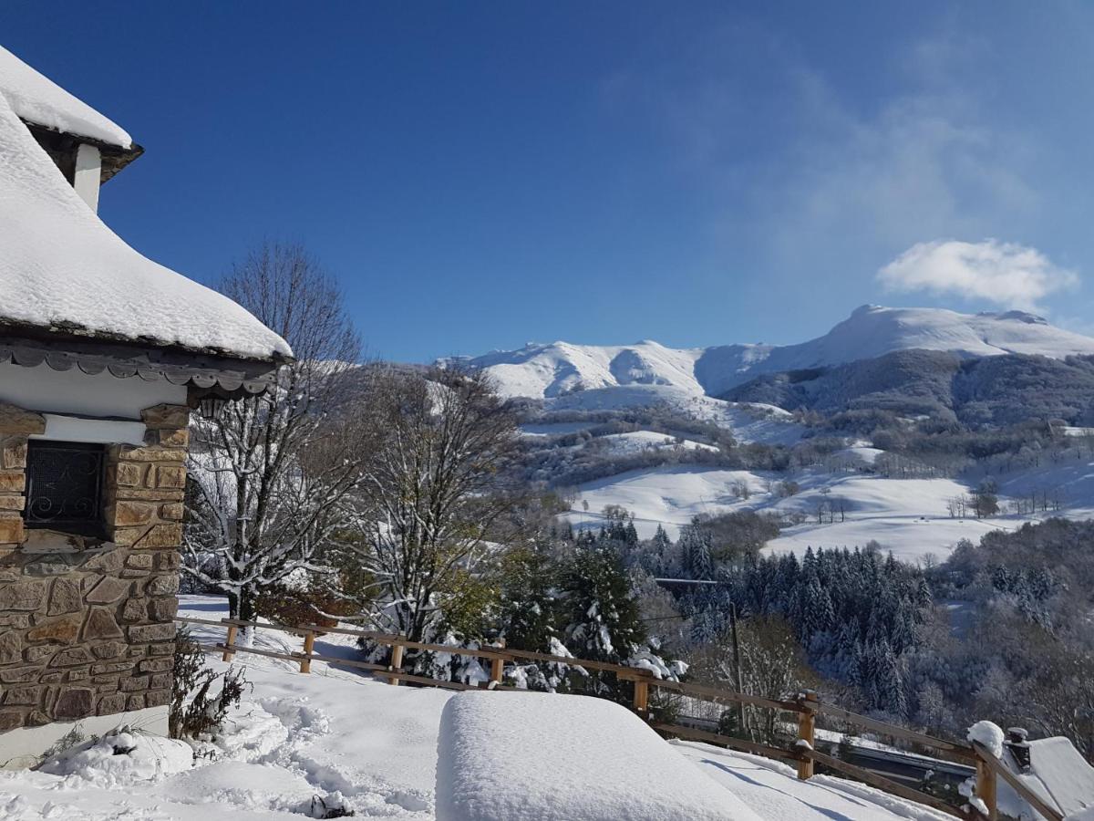 Chalet Avec Vue Panoramique Sur Le Plomb Du Cantal Βίλα Saint-Jacques-des-Blats Εξωτερικό φωτογραφία