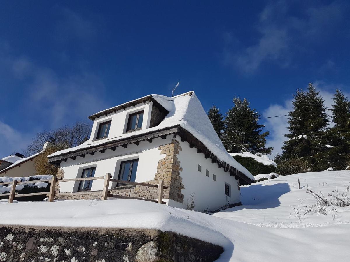 Chalet Avec Vue Panoramique Sur Le Plomb Du Cantal Βίλα Saint-Jacques-des-Blats Εξωτερικό φωτογραφία