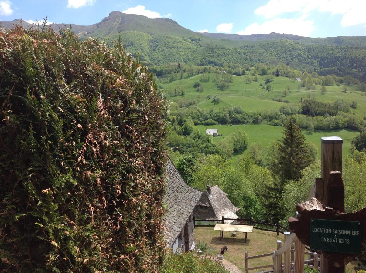 Chalet Avec Vue Panoramique Sur Le Plomb Du Cantal Βίλα Saint-Jacques-des-Blats Εξωτερικό φωτογραφία