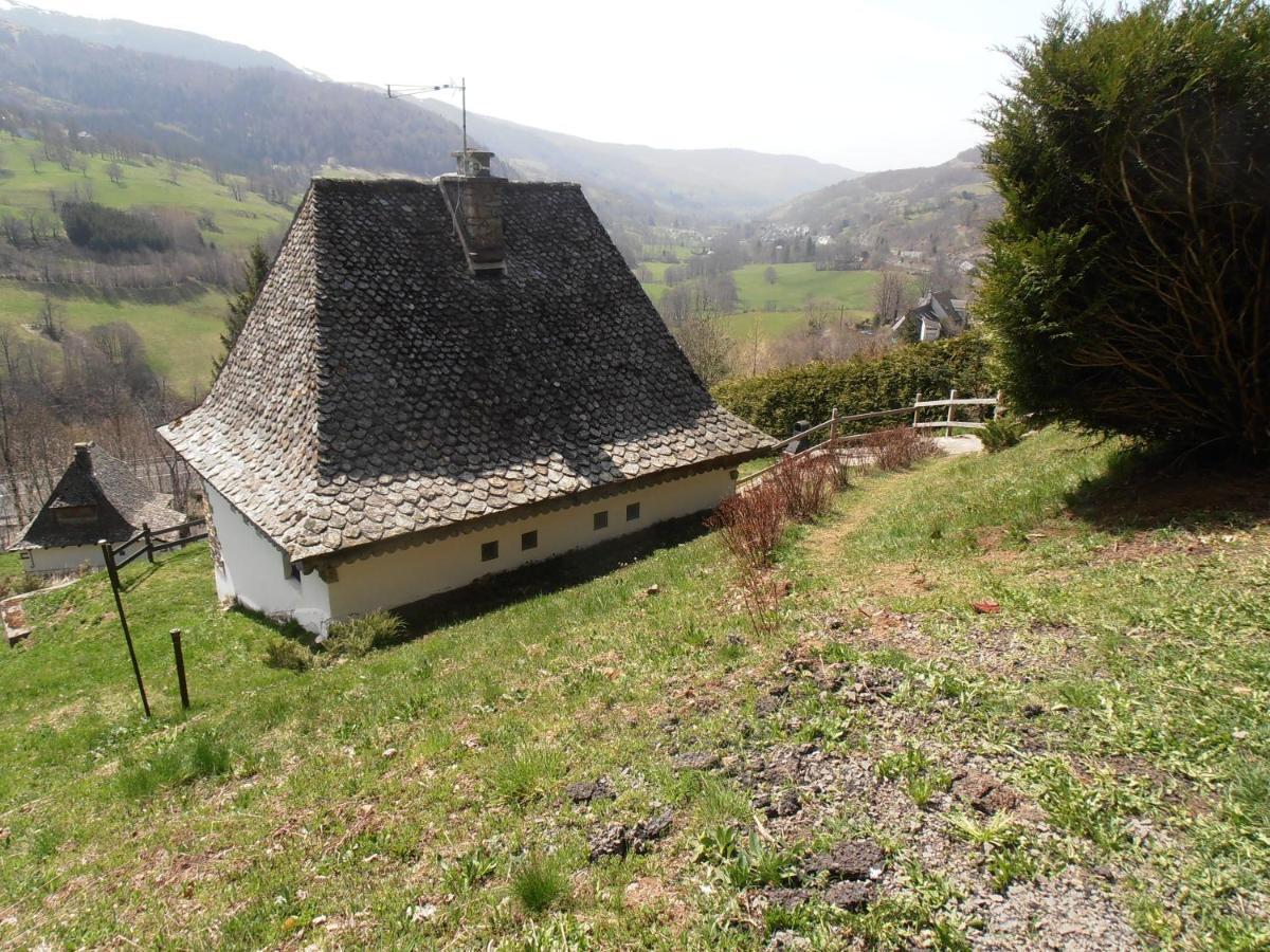 Chalet Avec Vue Panoramique Sur Le Plomb Du Cantal Βίλα Saint-Jacques-des-Blats Εξωτερικό φωτογραφία