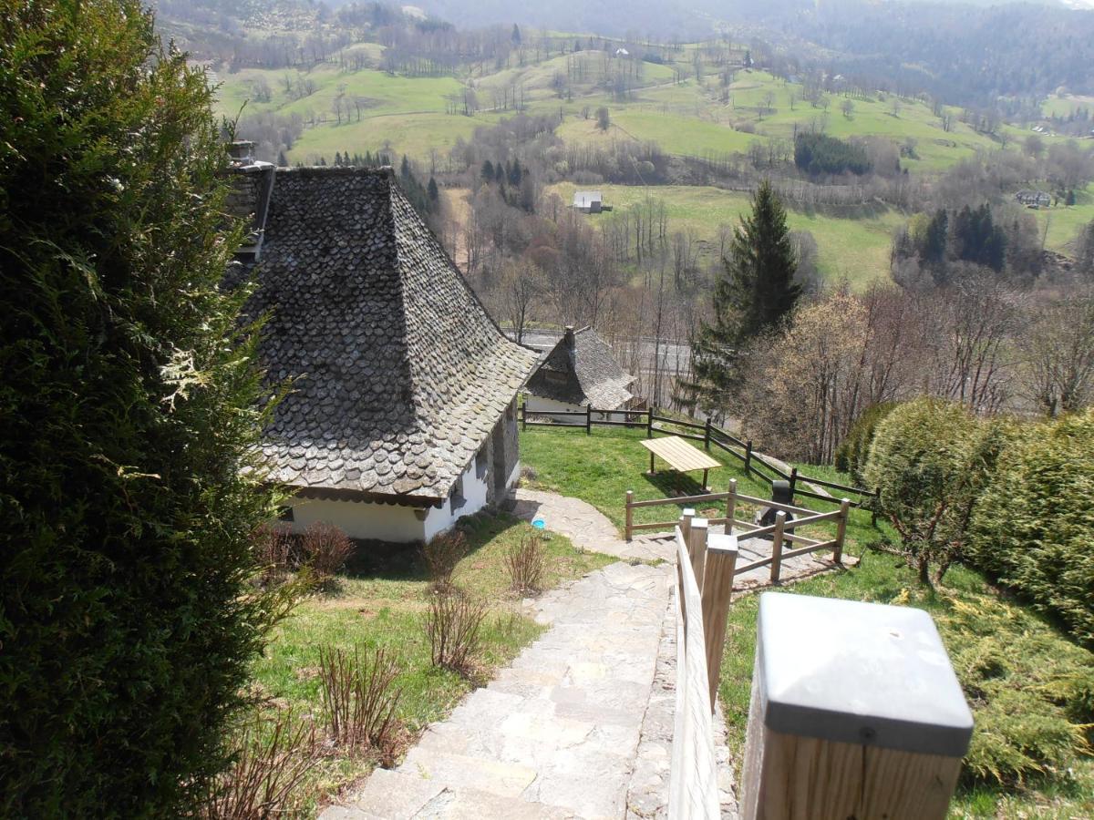 Chalet Avec Vue Panoramique Sur Le Plomb Du Cantal Βίλα Saint-Jacques-des-Blats Εξωτερικό φωτογραφία