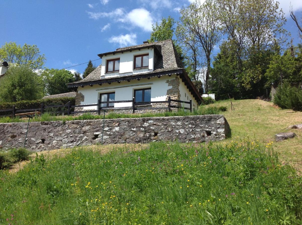 Chalet Avec Vue Panoramique Sur Le Plomb Du Cantal Βίλα Saint-Jacques-des-Blats Εξωτερικό φωτογραφία