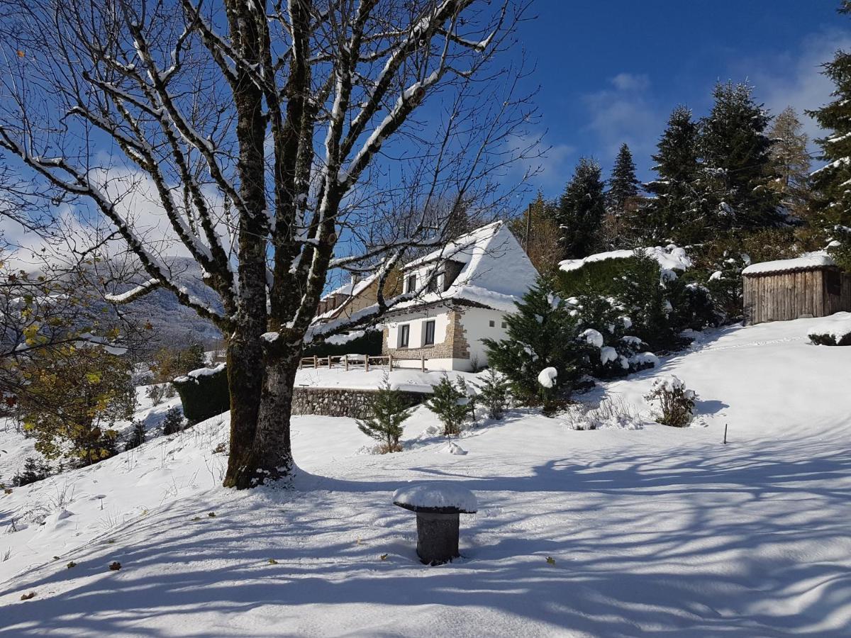 Chalet Avec Vue Panoramique Sur Le Plomb Du Cantal Βίλα Saint-Jacques-des-Blats Εξωτερικό φωτογραφία