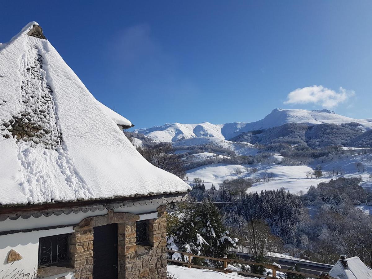 Chalet Avec Vue Panoramique Sur Le Plomb Du Cantal Βίλα Saint-Jacques-des-Blats Εξωτερικό φωτογραφία