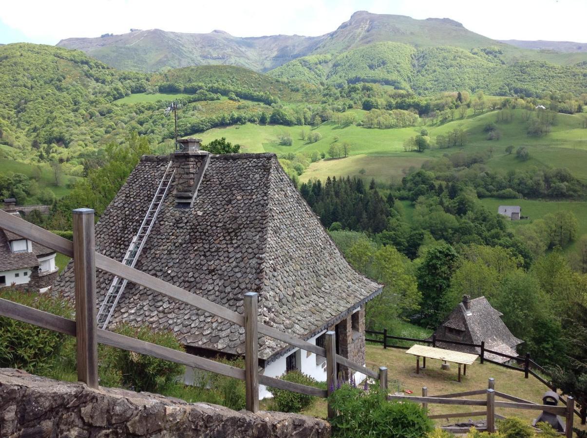 Chalet Avec Vue Panoramique Sur Le Plomb Du Cantal Βίλα Saint-Jacques-des-Blats Εξωτερικό φωτογραφία