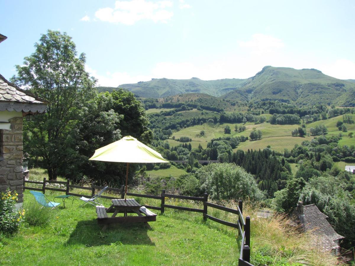 Chalet Avec Vue Panoramique Sur Le Plomb Du Cantal Βίλα Saint-Jacques-des-Blats Εξωτερικό φωτογραφία